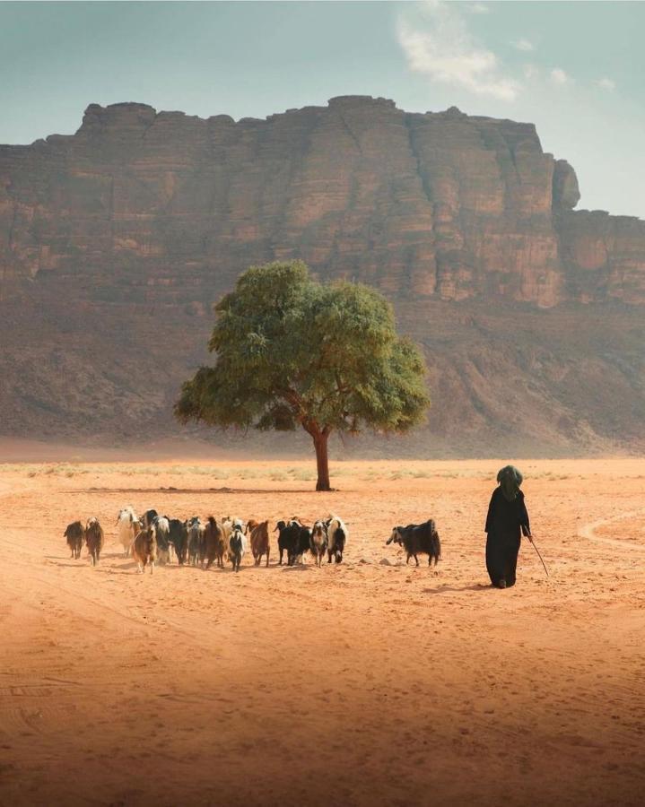 Ariana Luxury Camp Wadi Rum Exterior foto